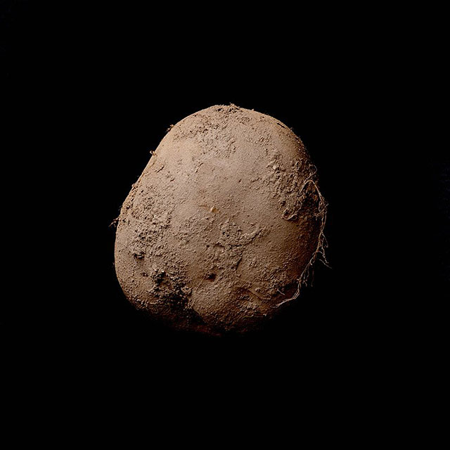 Bạn muốn chế tạo máy ảnh ? 1 củ khoai tây là đủ ! | 50mm Vietnam Official Site