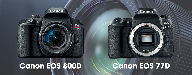 Canon EOS 6D Mark II không ra mắt, 3 sản phẩm mới hướng tới phân khúc nhập môn | 50mm Vietnam
