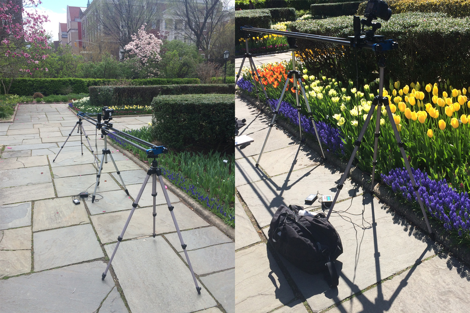 3 năm, 8TB ảnh, 1 video time-lapse hoa nở ấn tượng! | 50mm Vietnam