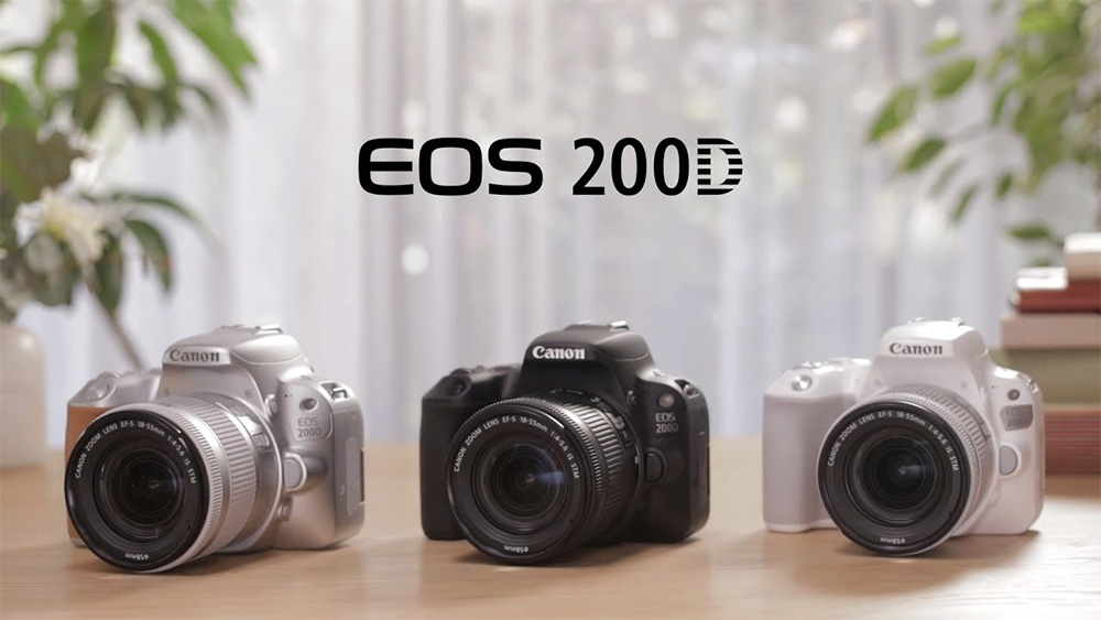 Canon EOS 200D - sức mạnh ẩn giấu | 50mm Vietnam