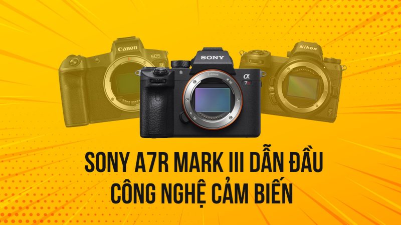 Sony A7RIII có Dynamic Range vượt trội so với Canon EOS R và Nikon Z7? | 50mm Vietnam