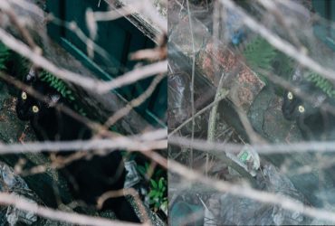 Hiệu ứng sương mù bằng Photoshop