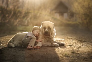 Top 10 bức ảnh gia đình tuyệt đẹp của năm 2015 trên 500px | 50mm Vietnam