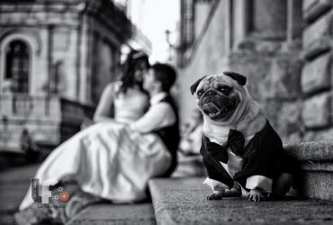 Top 10 bức ảnh cưới năm 2015 trên 500px | 50mm Vietnam