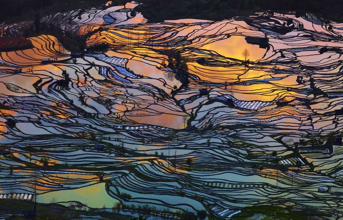 Giải thưởng International Photographer of the Year 2015 | 50mm Vietnam