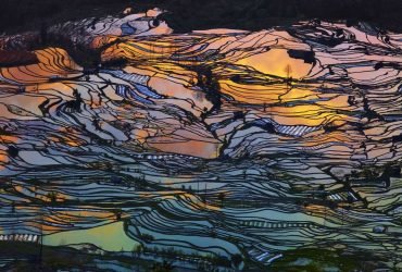 Giải thưởng International Photographer of the Year 2015 | 50mm Vietnam