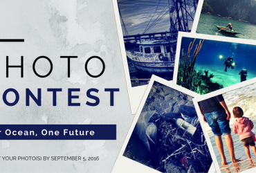 Cuộc thi ảnh "Đại Dương Của Chúng ta, Một Tương Lai" | 50mm Vietnam