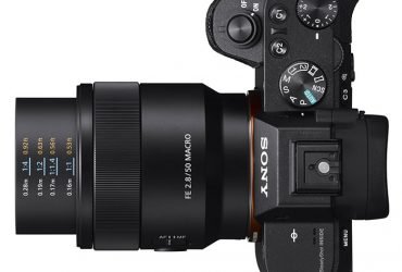 Sony FE 50mm f2.8 Macro - Dàn lens 50mm hùng hậu nhất! | 50mm Vietnam Official Site