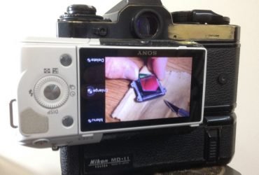 Chiếc lưng số đặc biệt cho máy phim Nikon! | 50mm Vietnam