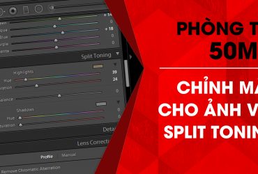Phòng tối 50mm - Tập 12 (Lightroom): Điều chỉnh màu sắc với Split Toning | 50mm Vietnam