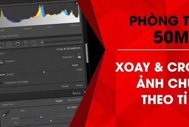Phòng tối 50mm - Tập 9 (Lightroom): Xoay & Crop ảnh chụp theo tỉ lệ hoàn hảo | 50mm Vietnam