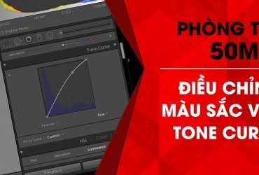 Phòng tối 50mm - Tập 11 (Lightroom): Điều chỉnh màu sắc với Tone Curve (Phần II) | 50mm Vietnam