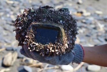 Chiếc camera trôi dạt 2 năm ở biển sâu và nay lại về với chủ cũ | 50mm Vietnam