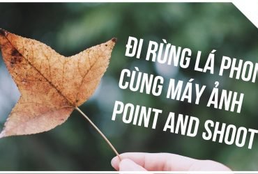 Đi rừng lá phong cùng máy ảnh Point and Shoot | Lên Phim Xuống Phố | Tập 13 | 50mm Vietnam